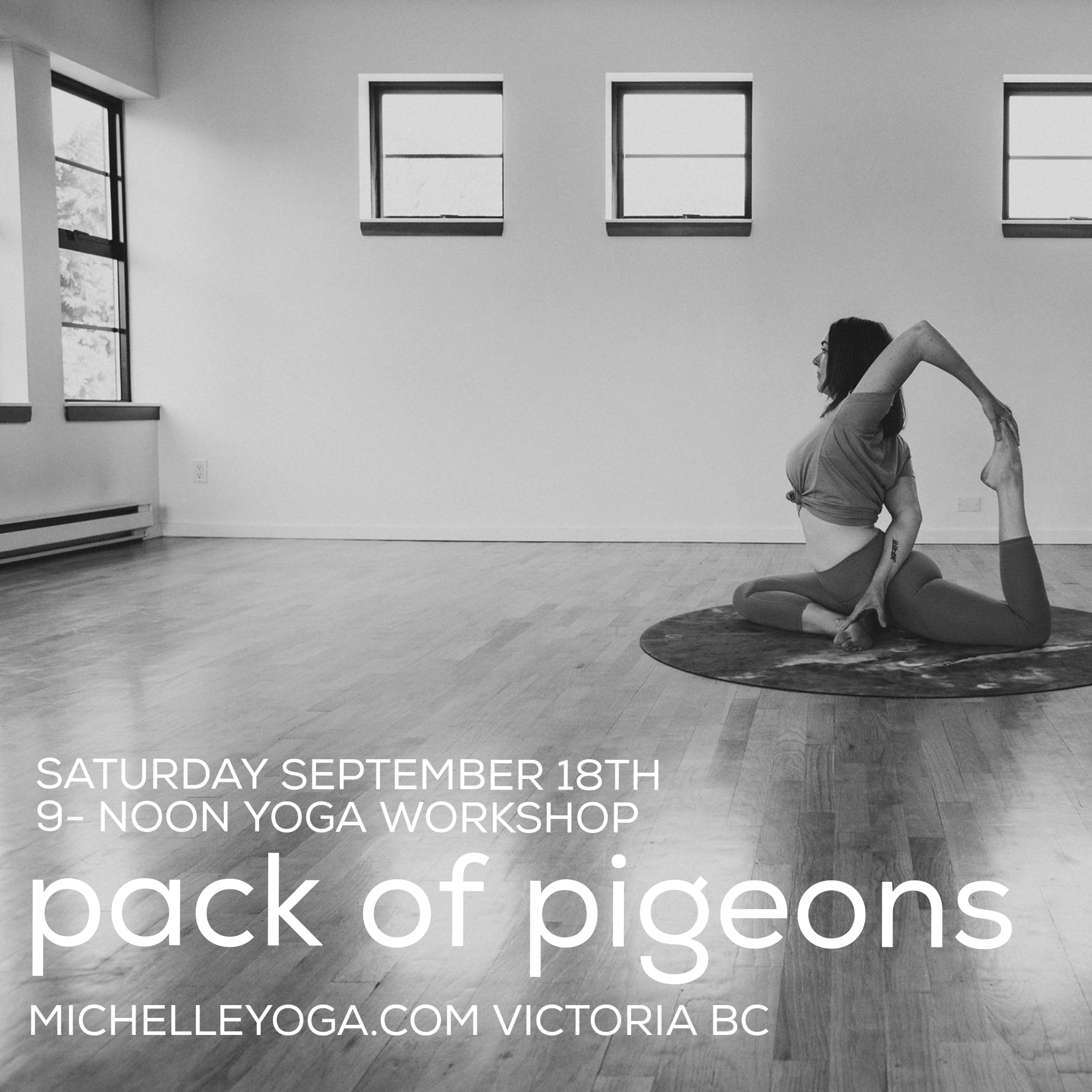Pack of Pigeons